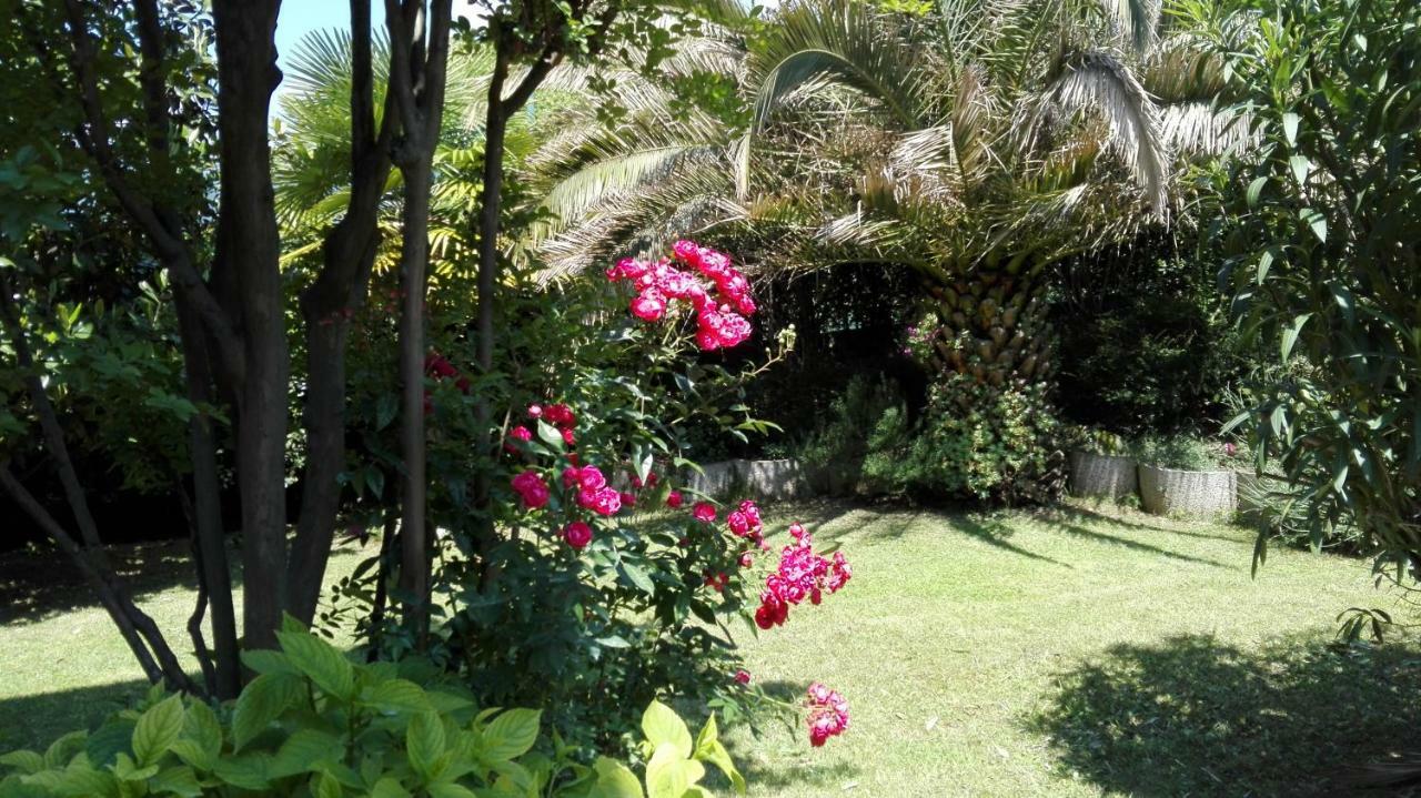 Appartamento Giardino Sugli Ulivi Riva Zewnętrze zdjęcie