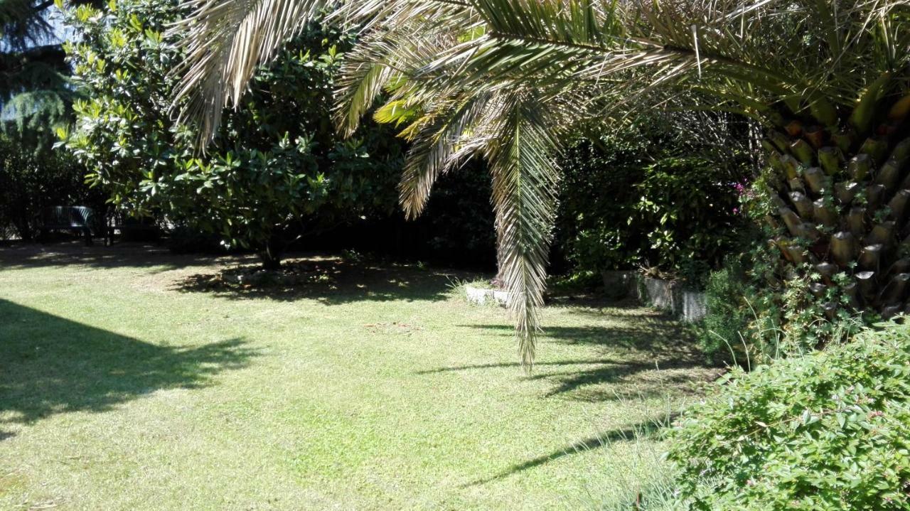 Appartamento Giardino Sugli Ulivi Riva Zewnętrze zdjęcie