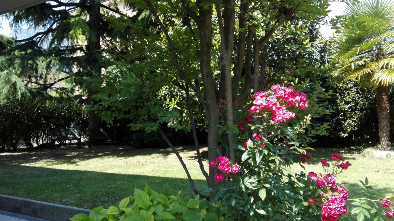 Appartamento Giardino Sugli Ulivi Riva Zewnętrze zdjęcie